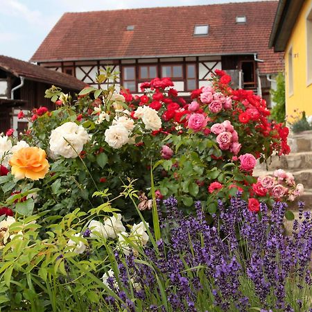 Studioapartment Mit Wohlfuehlcharakter Litzendorf Exterior foto